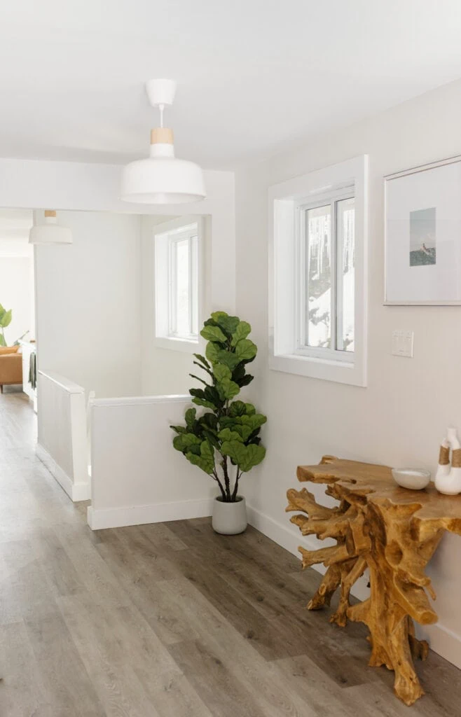 Painted American White coloured walls in a home hallway, featuring a house plant in the corner and a wooden table on the wall.